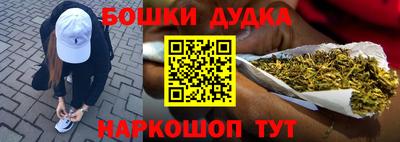 гидра Гатчина
