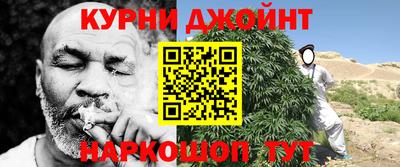 гидра Гатчина