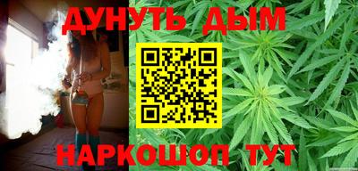 гидра Гатчина