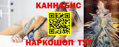 гидра Гатчина