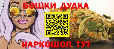 гидра Гатчина