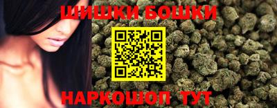 гидра Гатчина