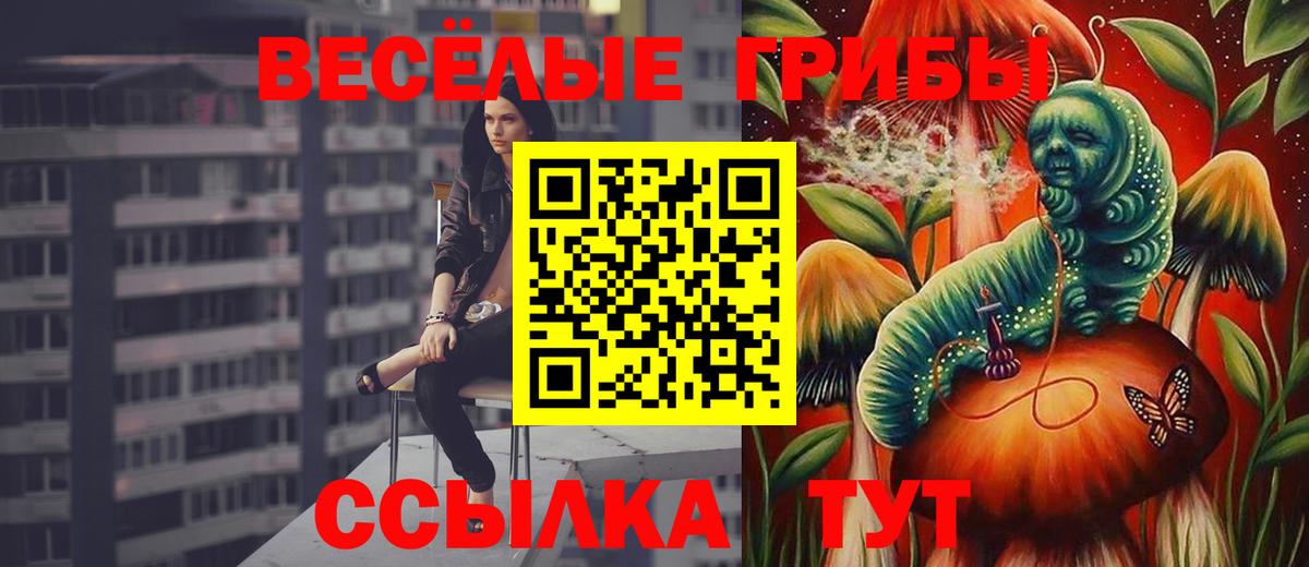 Спасск-Дальний  Псилоцибиновые грибы Psilocybe  Вход с VPN 