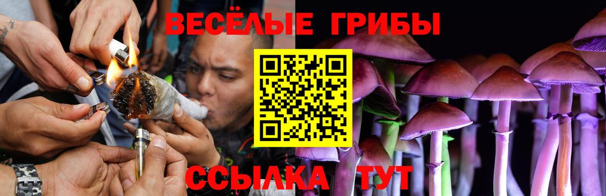 Псилоцибиновые грибы Cubensis Спасск-Дальний